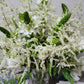 "Harmony in Bloom" – A Sublime Bridal Centerpiece